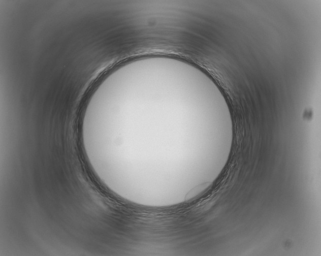 X0000116850304201002021051