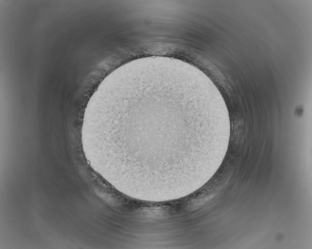 X0000116850307201002021051