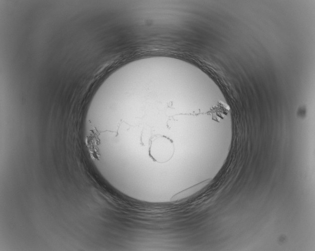 X0000116850308201002021051