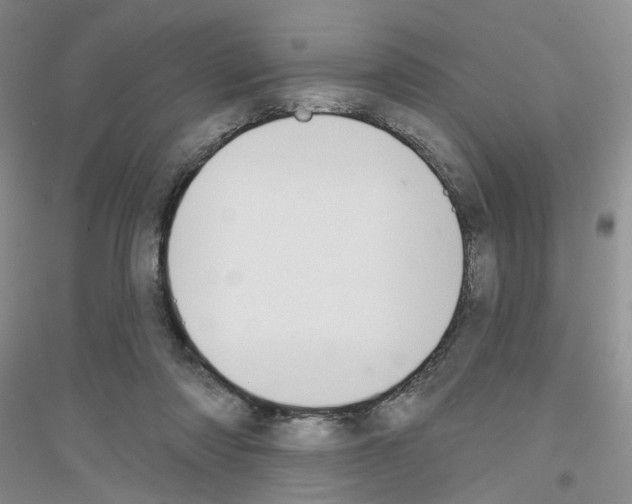 X0000116850310201002021051