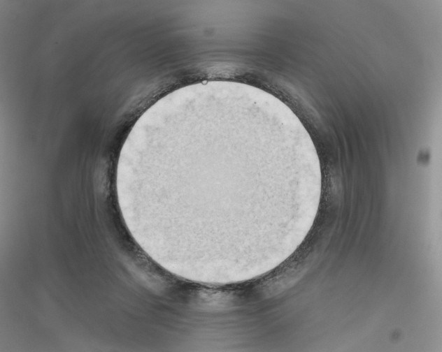 X0000116850311201002021051