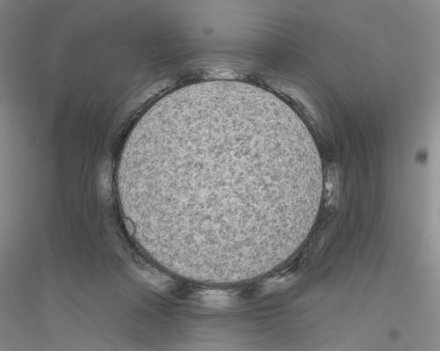 X0000116850314201002021051