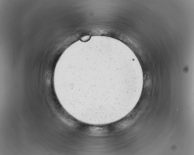 X0000116850315201002021051