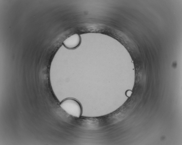 X0000116850317201002021051