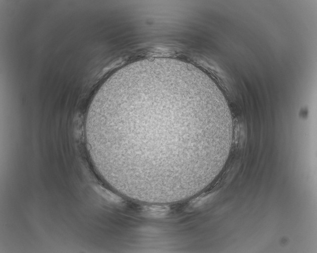 X0000116850318201002021051