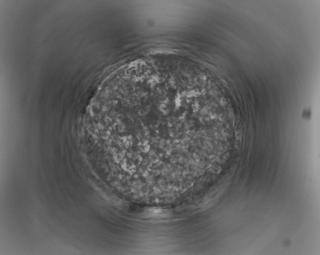 X0000116850319201002021051