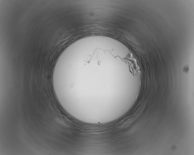 X0000116850320201002021051