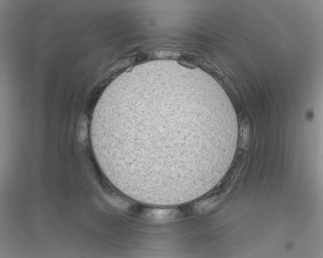 X0000116850323201002021051
