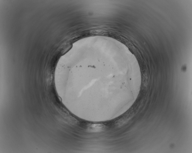X0000116850324201002021051