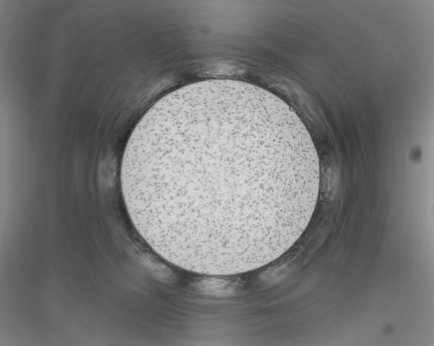 X0000116850326201002021050