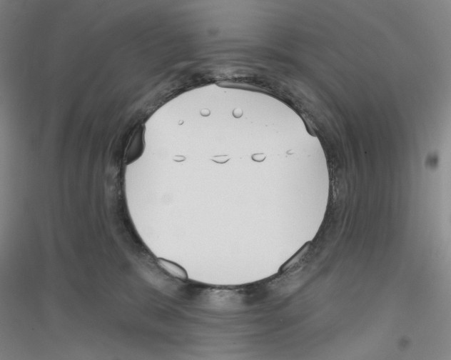 X0000116850327201002021050
