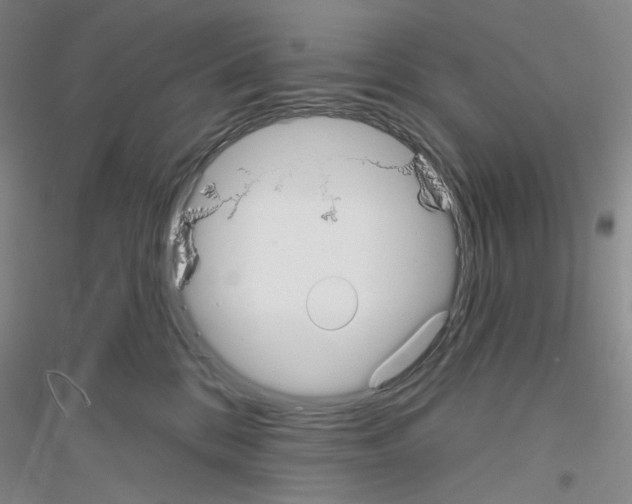 X0000116850328201002021050
