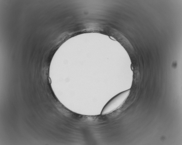 X0000116850329201002021050
