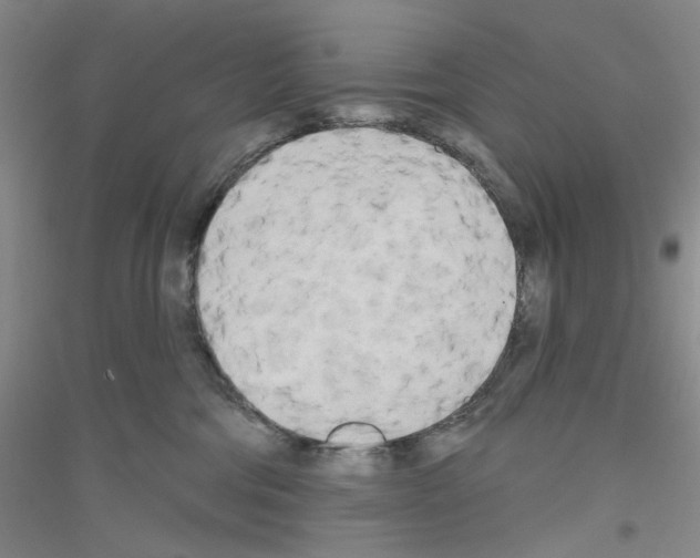 X0000116850330201002021050