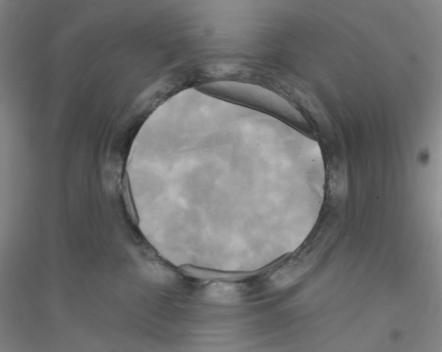X0000116850332201002021050
