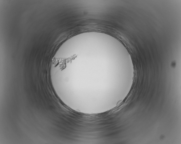 X0000116850333201002021050