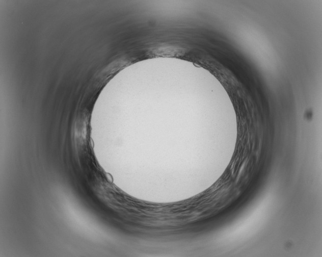 X0000116850334201002021050