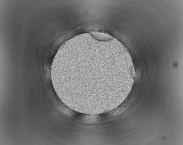 X0000116850335201002021050