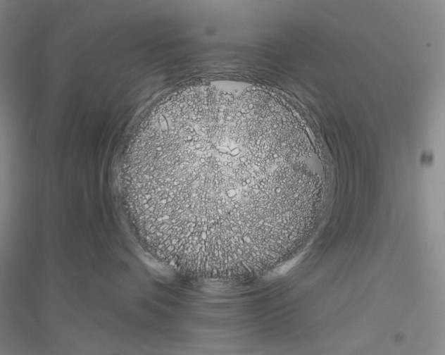 X0000116850336201002021050