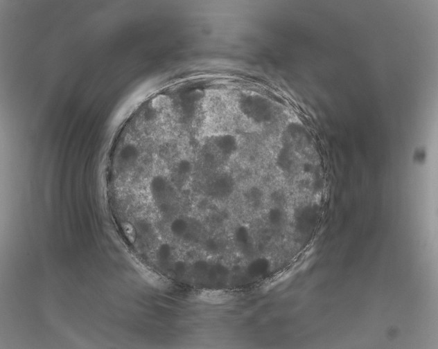 X0000116850341201002021050