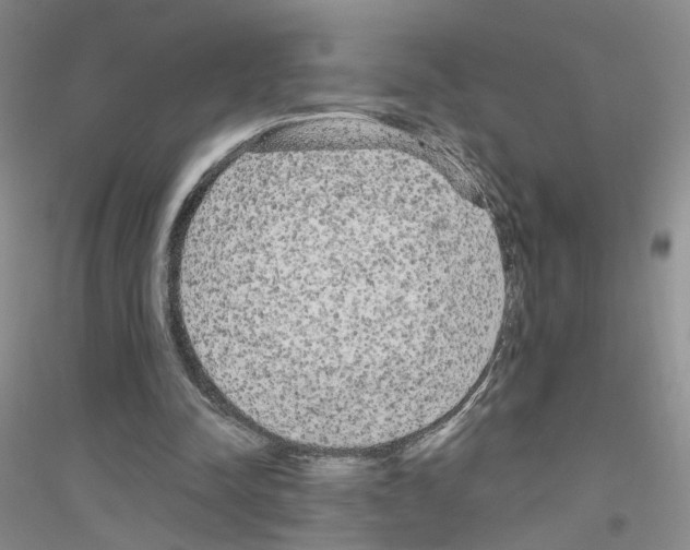 X0000116850342201002021050