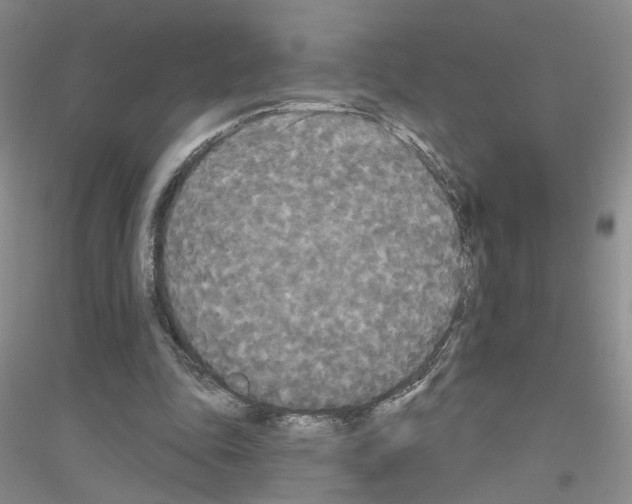 X0000116850343201002021050