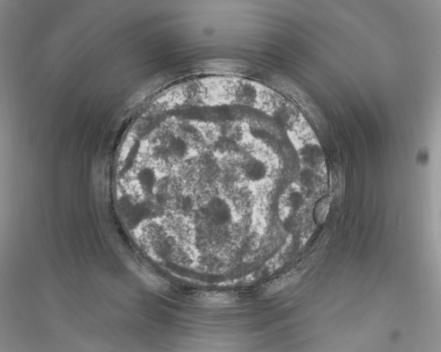 X0000116850349201002021050
