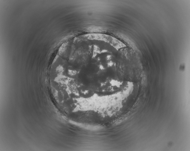 X0000116850353201002021050