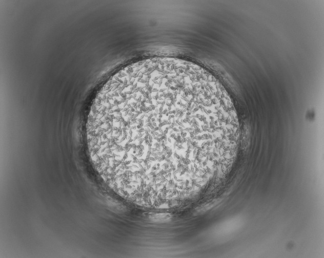 X0000116850355201002021050