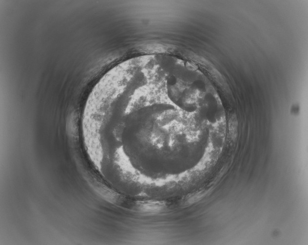 X0000116850359201002021050