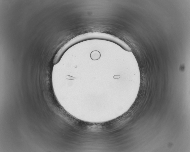 X0000116850362201002021050