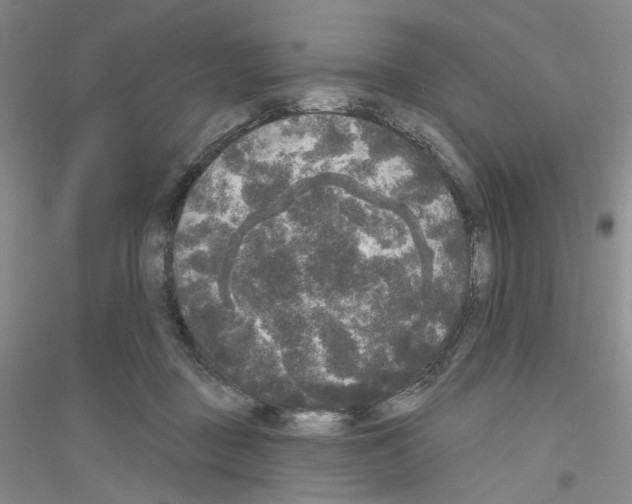 X0000116850363201002021050