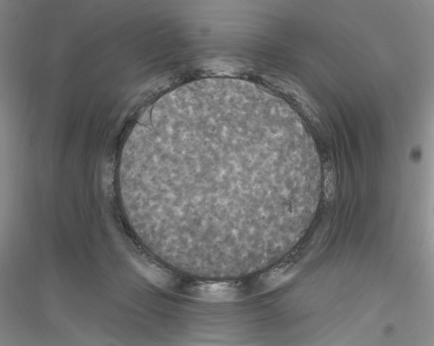 X0000116850365201002021050