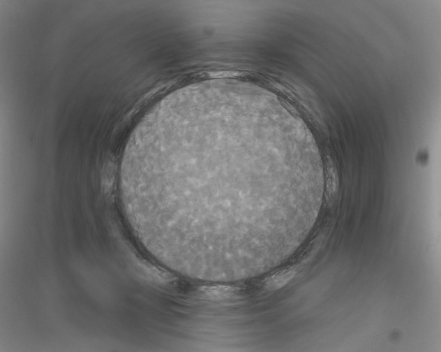 X0000116850367201002021050