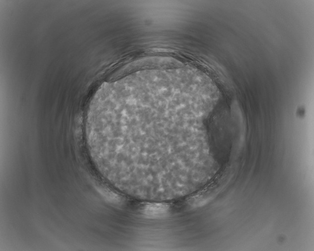 X0000116850369201002021050