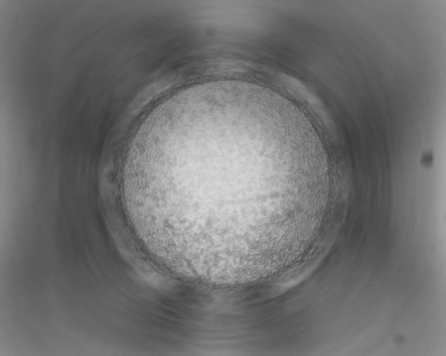 X0000116850370201002021050