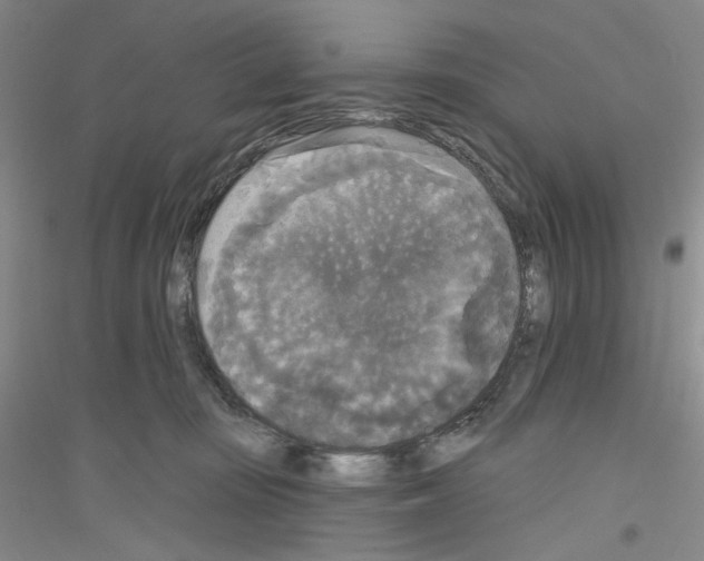 X0000116850371201002021050