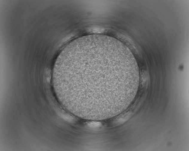 X0000116850374201002021050