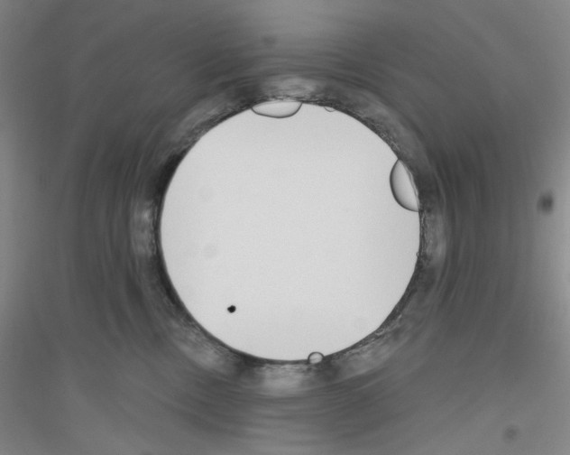 X0000116850378201002021050