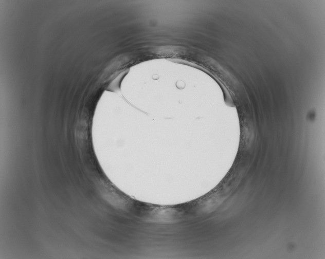 X0000116850379201002021050