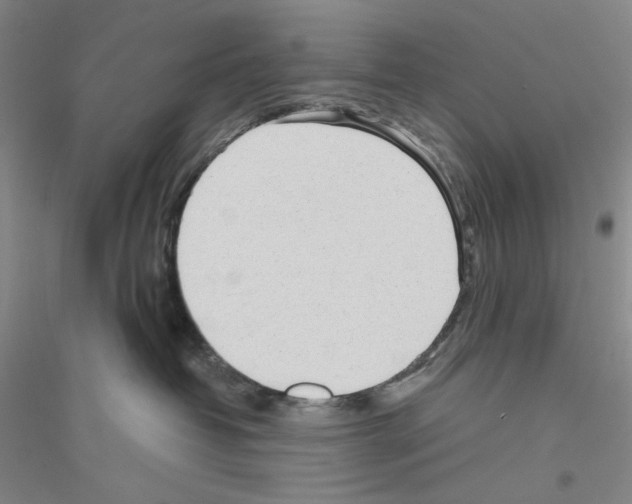 X0000116850382201002021050