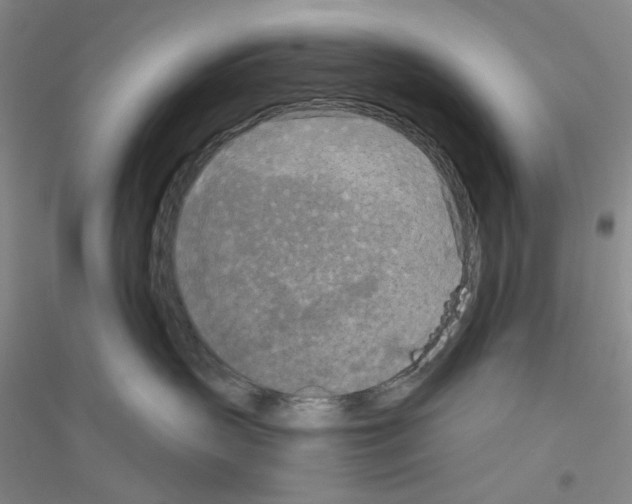 X0000116850383201002021050