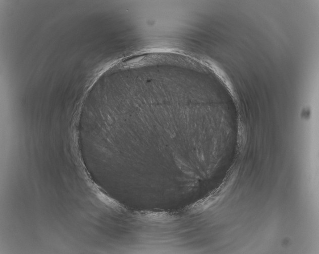 X0000116850385201002021050