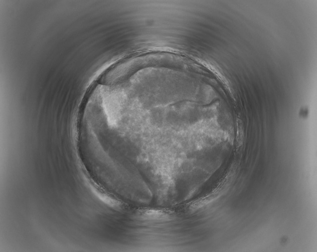 X0000116850390201002021050