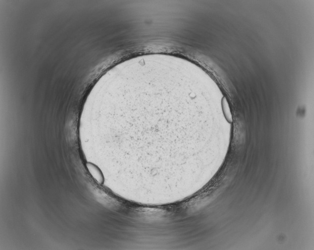 X0000116850393201002021050