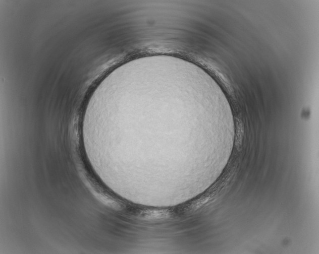 X0000116850398201002021050