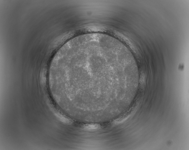 X0000116850402201002021049