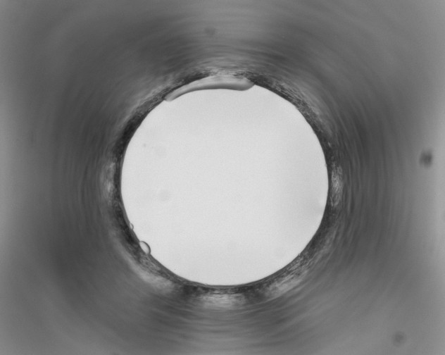 X0000116850404201002021049