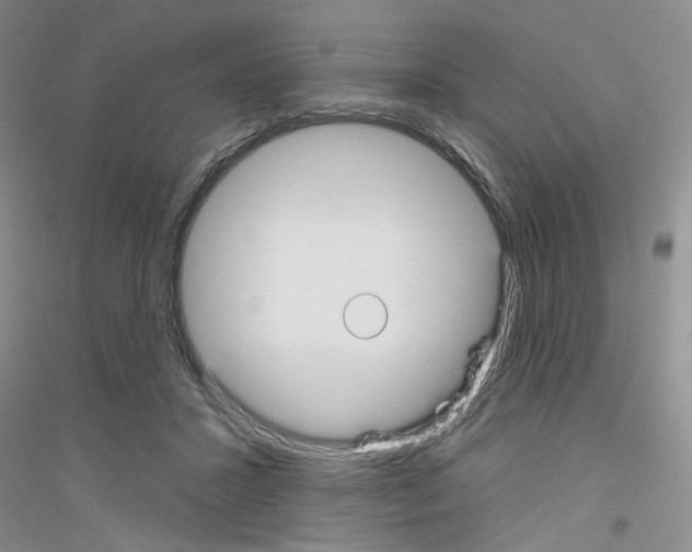 X0000116850407201002021049