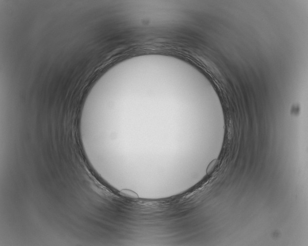X0000116850409201002021049